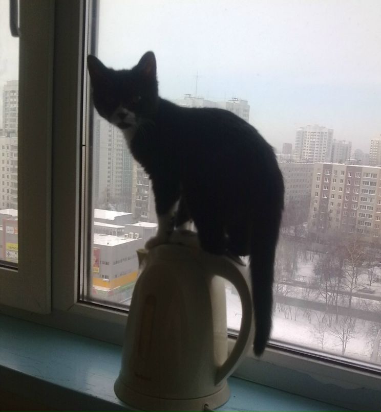 Владислав Наков | Москва