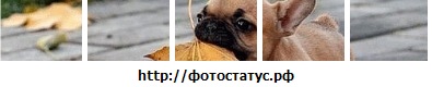 №11, Олюся Двигун, 124 года №11, Олюся Двигун, 124 года