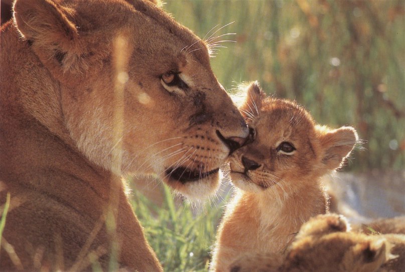 Ирина Рубцова | 