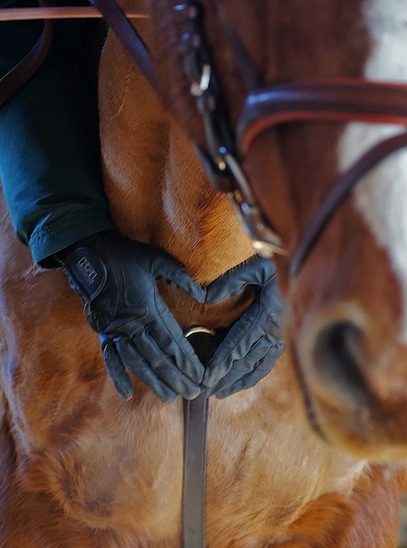 Александра Лазурина | Новосибирск