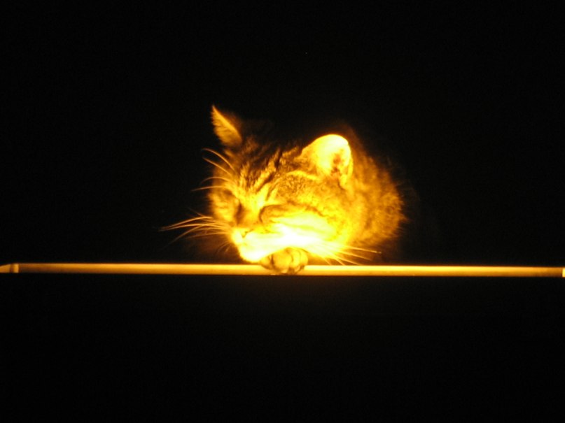 Татьяна Балябина | Санкт-Петербург