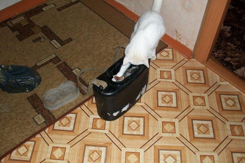 Леша Телюкин | Архангельск