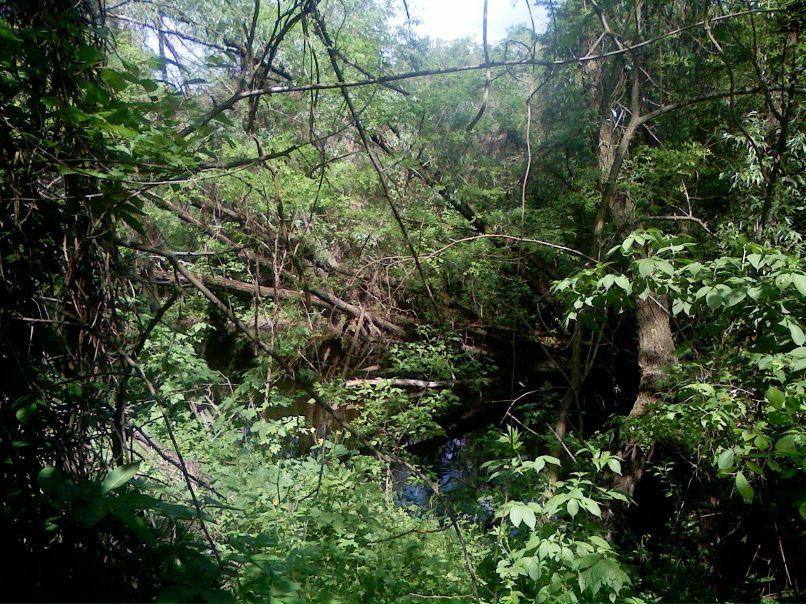 Владимир Пушкин | Потоки