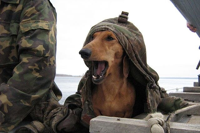 Александра Стойнова | Москва