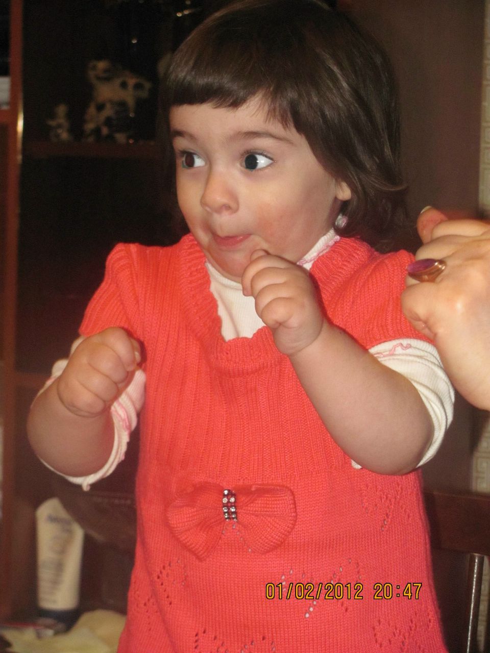 Аревик Степанянц | Санкт-Петербург