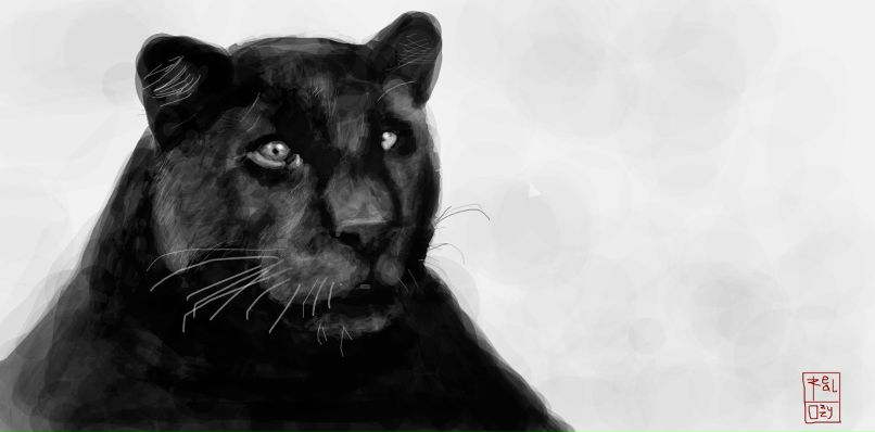 Михаил Шлыков | Челябинск