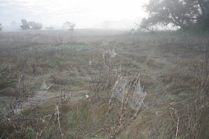 Маргарита Иванова | Москва