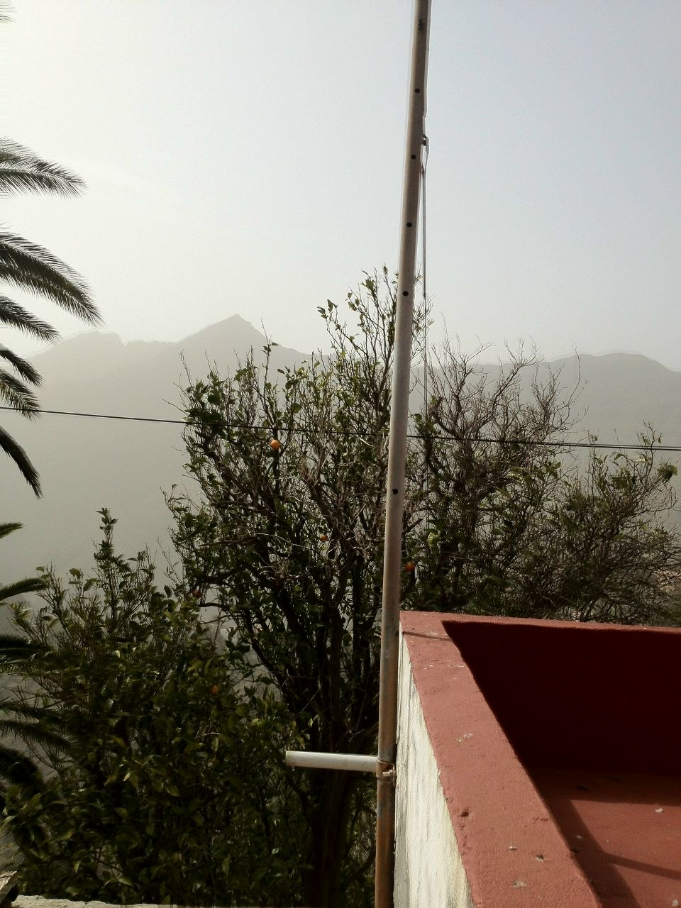 Сергей Ковалёв Солнечный | Санкт-Петербург