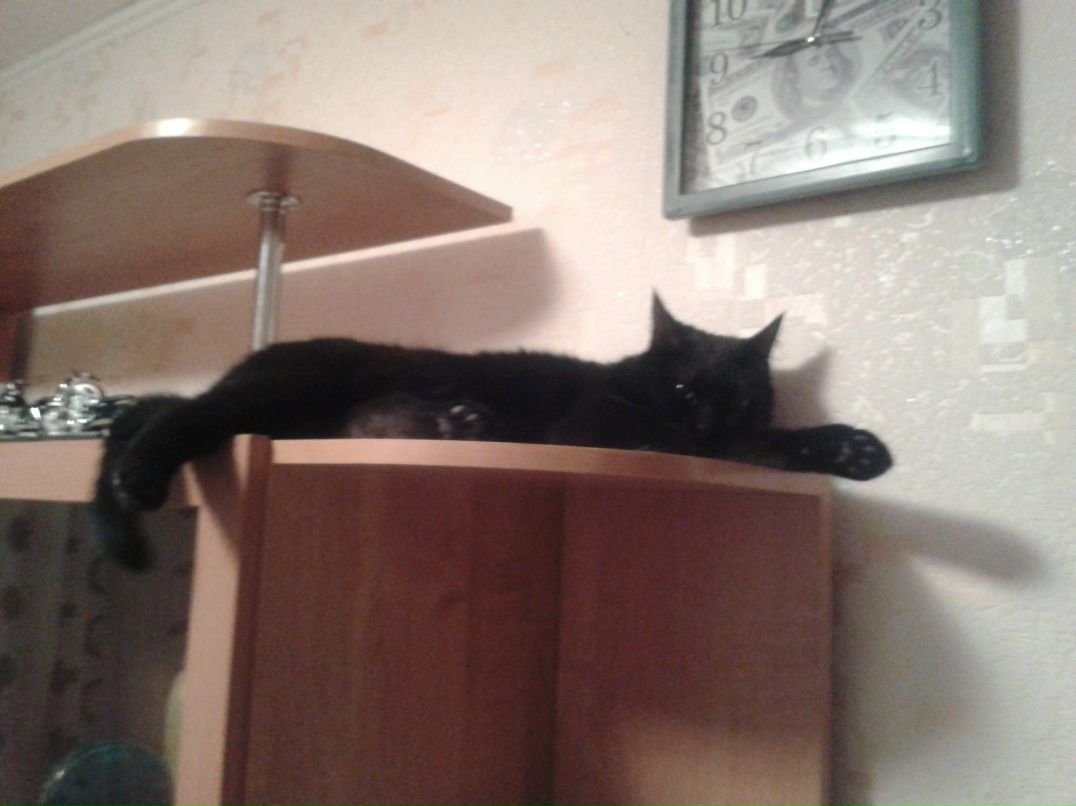 Анна Кузьминых | Ижевск