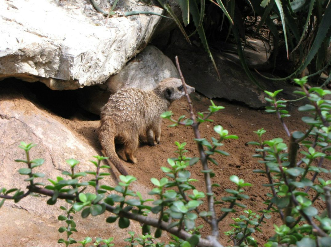 Светлана Нудельман | Kiryat Bialik
