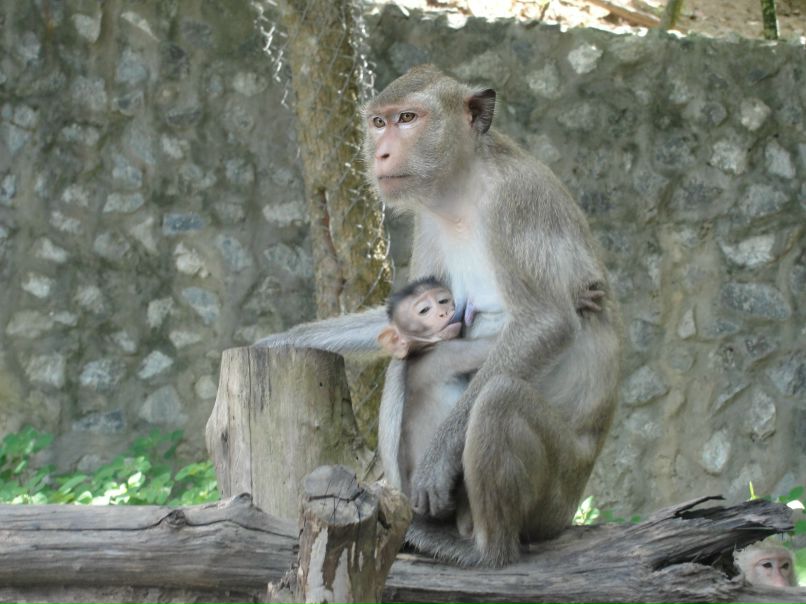 Анна Байрашева ॐ | Казань