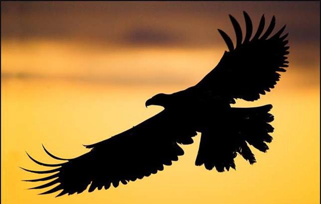 Анна Шанова Игоревна | Орехово-Зуево