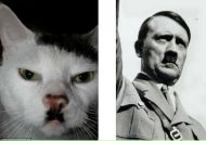 №16 Олег Большаков 06.01: профиль, фото, статус - ВКонтакте №16 Олег Большаков 06.01: профиль, фото, статус - ВКонтакте