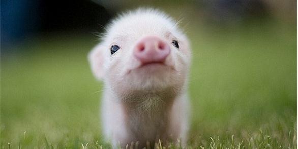 №193, Екатерина Рыжкова, 47 лет, Киев №193, Екатерина Рыжкова, 47 лет, Киев