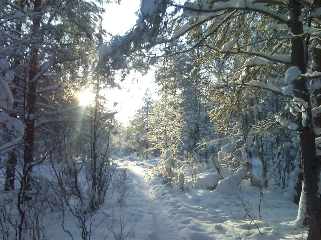Айли Иванова | Таруса