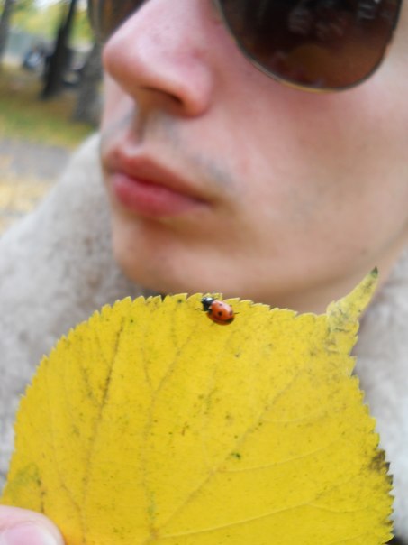 Паша Госьков Positive_Art | 