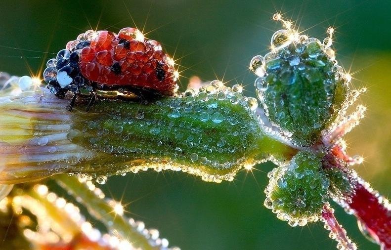 Алина Мотовилец | Ровно