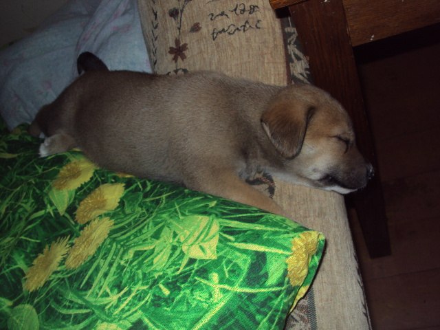 Елена Щербакова | Архангельск