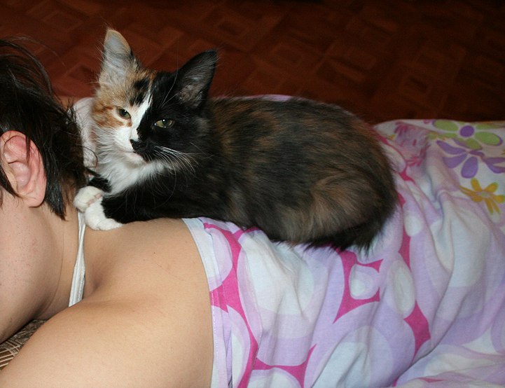 Людмила Кованская | Нижний Новгород