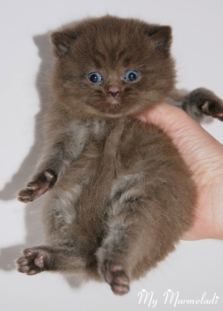 Ирина Аверина | Переславль-Залесский