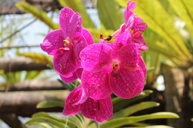 Елена Калинина | Краснодар