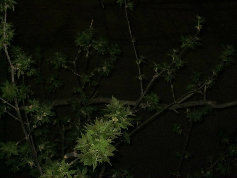 №16, Ирина Колтун, Волжский №16, Ирина Колтун, Волжский