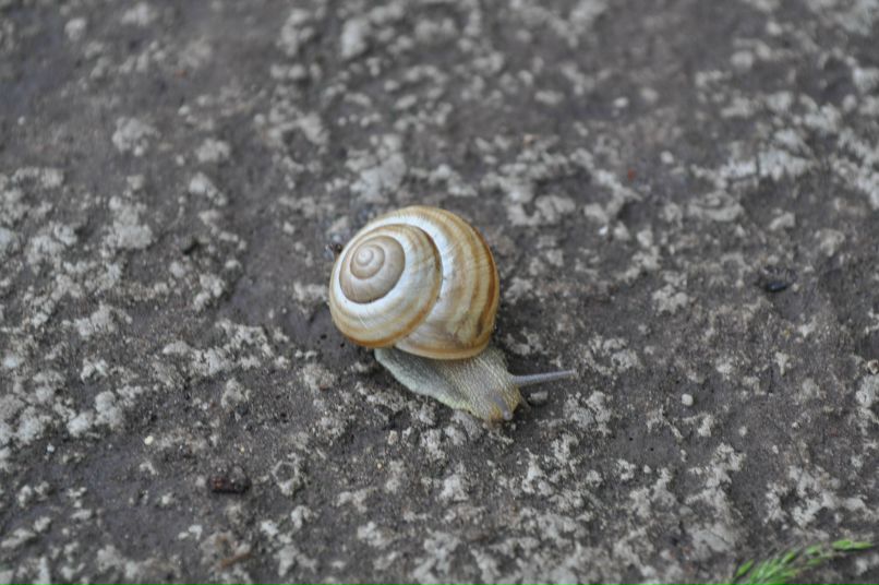 Таня Ревенко | Днепр (Днепропетровск)