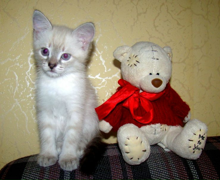 №38, Наталья Смирных, Ижевск №38, Наталья Смирных, Ижевск