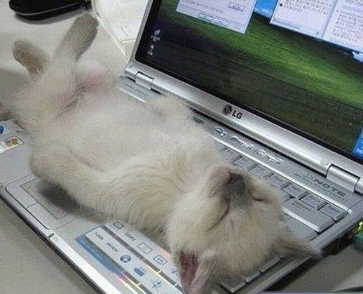 Олег Яндушов | 