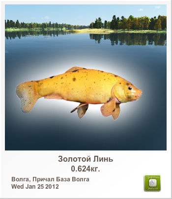 Юлия Ломилова | Полтава