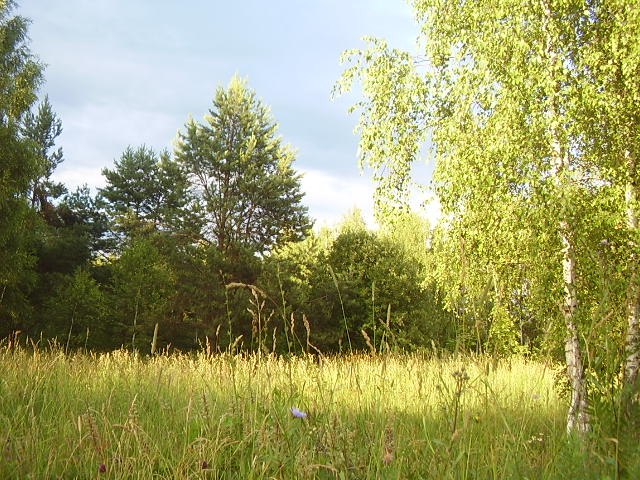 Варвара Алёшина | Москва