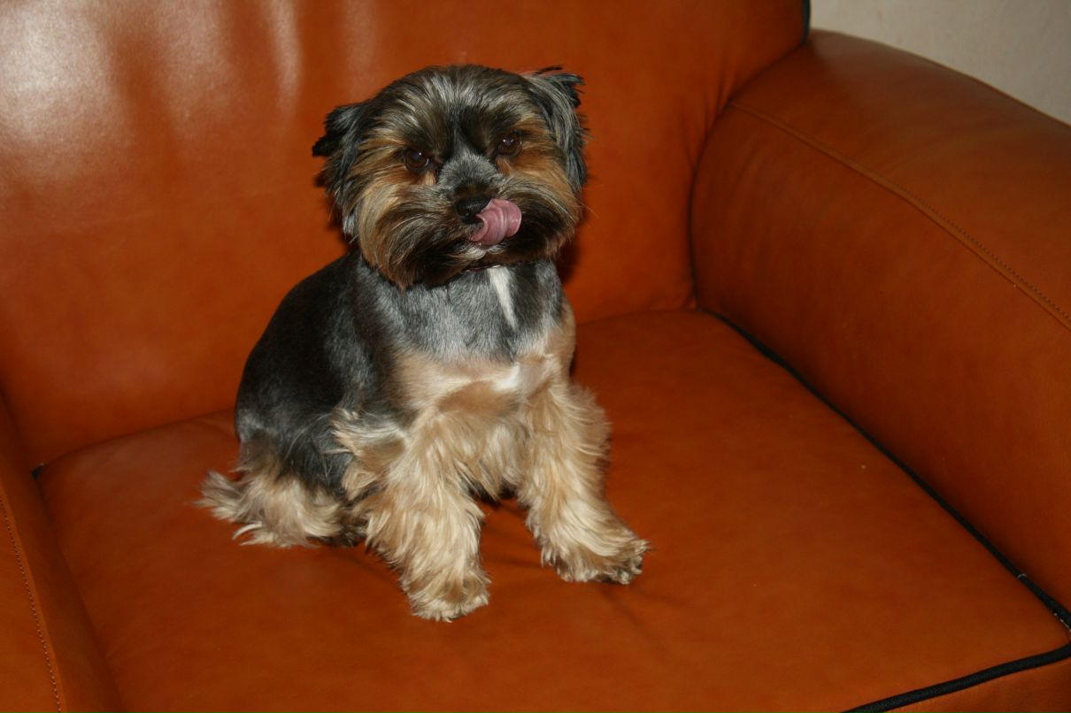 Анна Мороз | Новомосковск