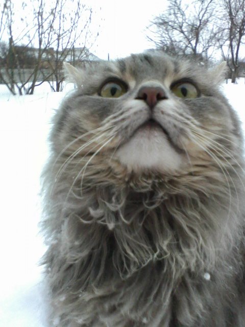 Ольга Мичкур | Бобринец