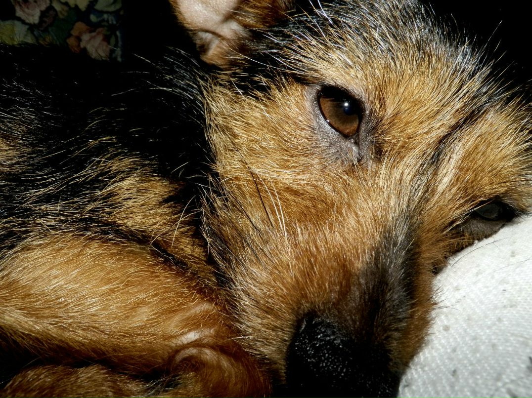 Катерина Солодка | Valencia