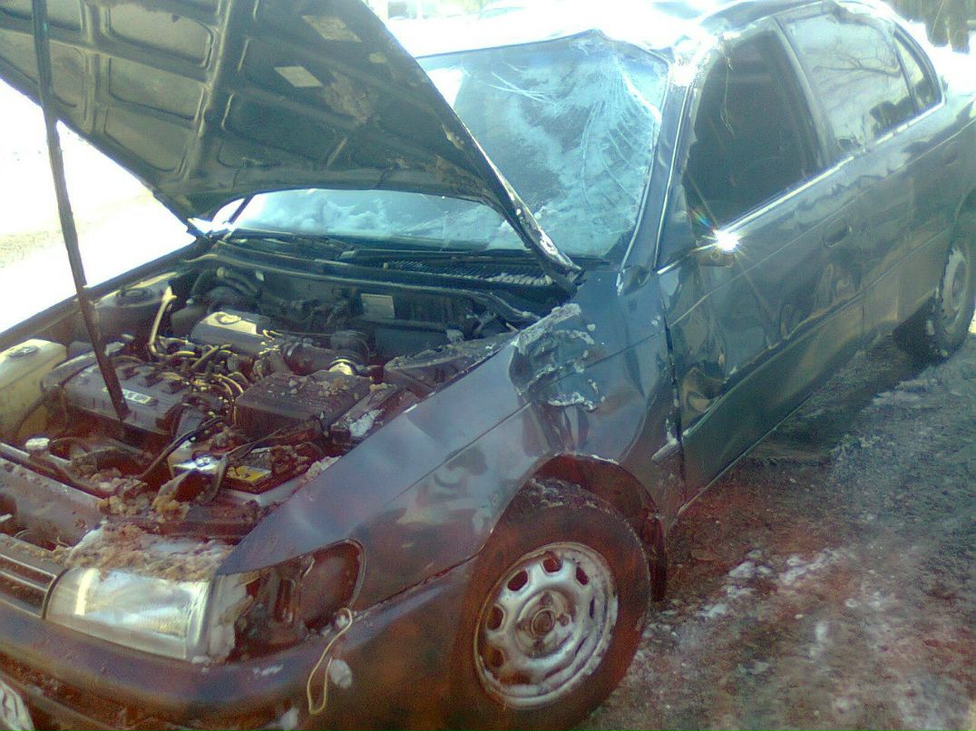 Алексей Коваль Так что ли? | Хабаровск