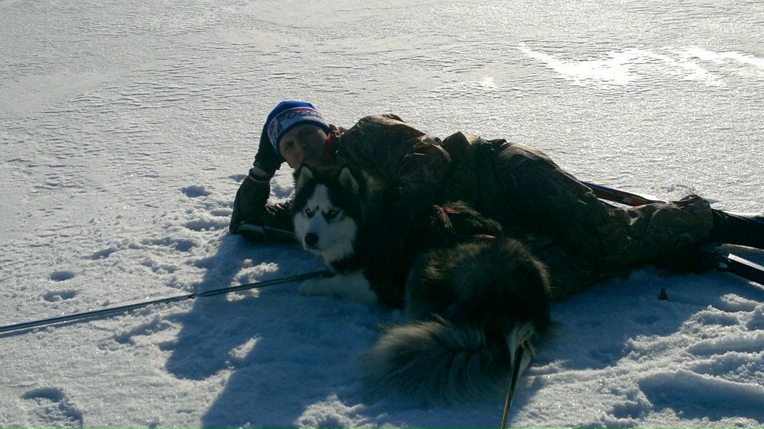 №31, Тимур Яновский, Санкт-Петербург №31, Тимур Яновский, Санкт-Петербург