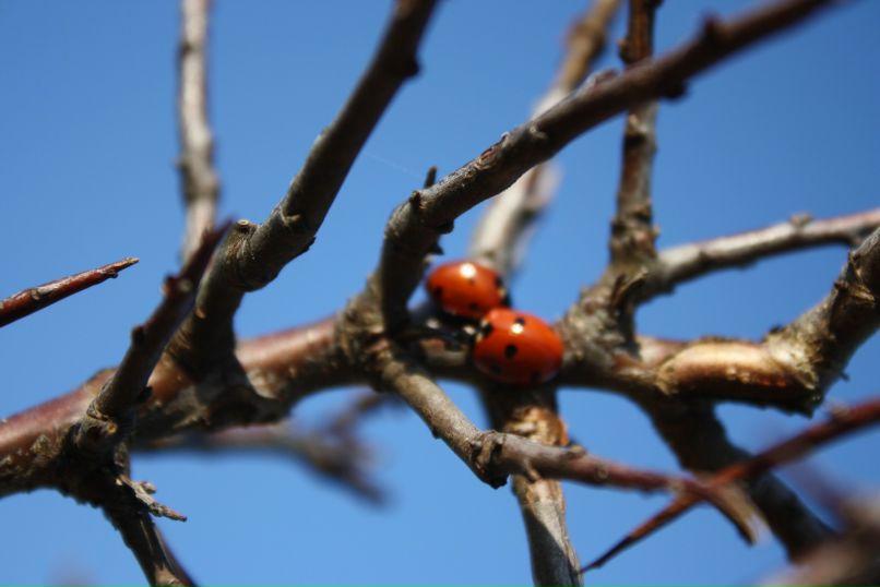 Tanja Sabender | München