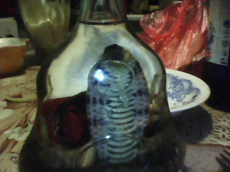 Саня Скарецкий | Грозинцы