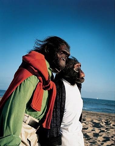 №82, Ermak Stephen №82, Ermak Stephen