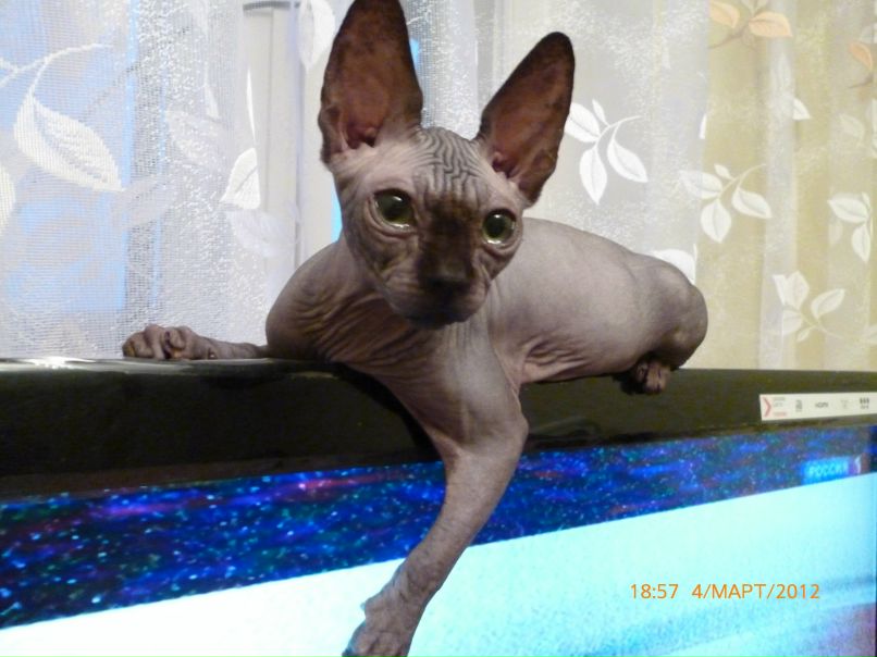 Аскар Кереев ^^ | 