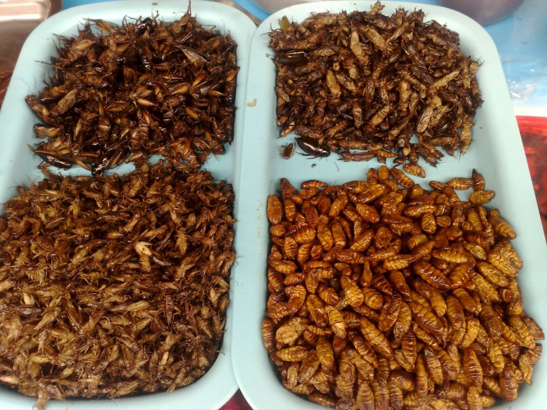 Юлия Андрющенко | Калининград