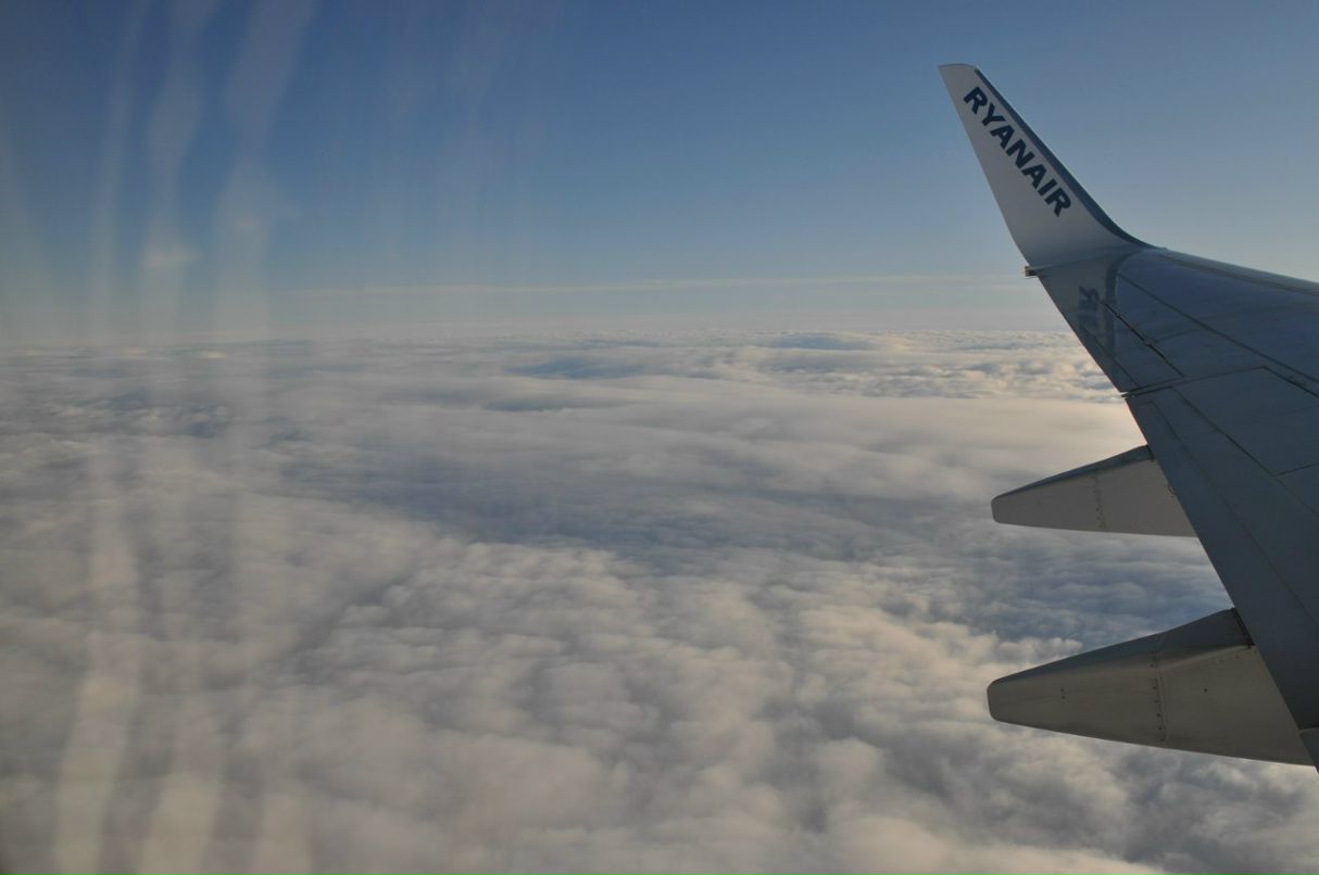 Артур Маргусевич | Житомир