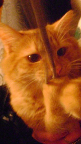 №97, Сабина Ахба, 36 лет №97, Сабина Ахба, 36 лет