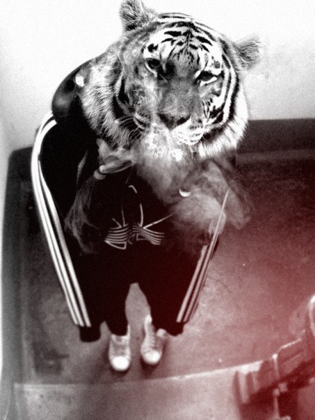 Андрей Иванов | Порхов