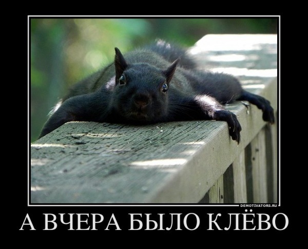 №78, Мария Тефанова, Красноярск №78, Мария Тефанова, Красноярск