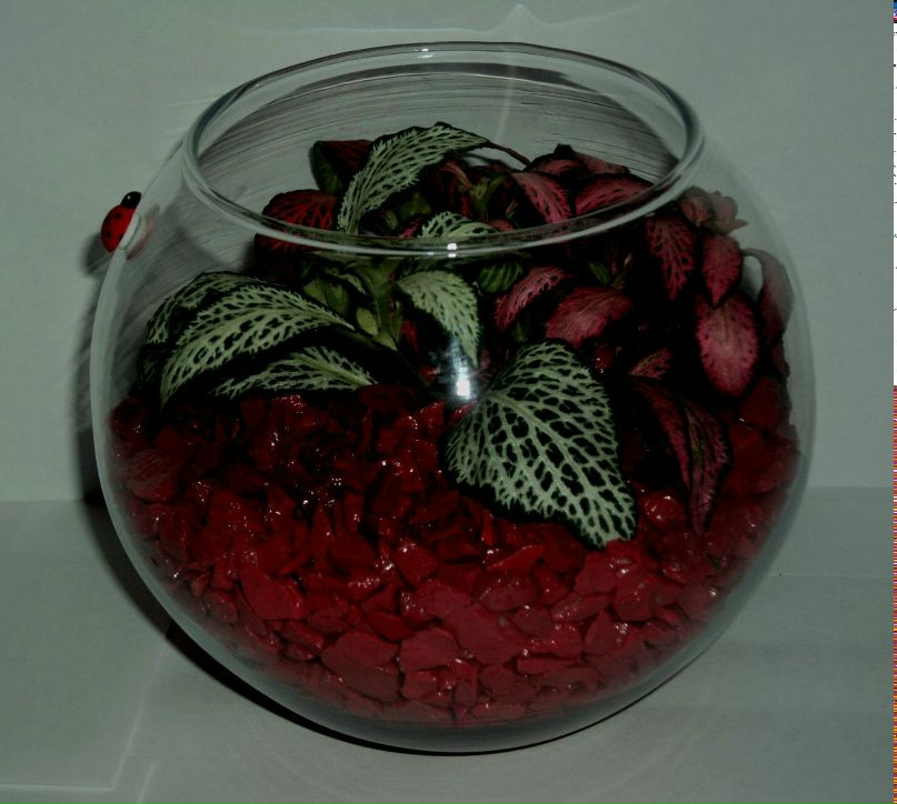 Таня Ільяшенко | Днепр (Днепропетровск)