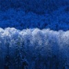 Аватар: Света Хмелёва