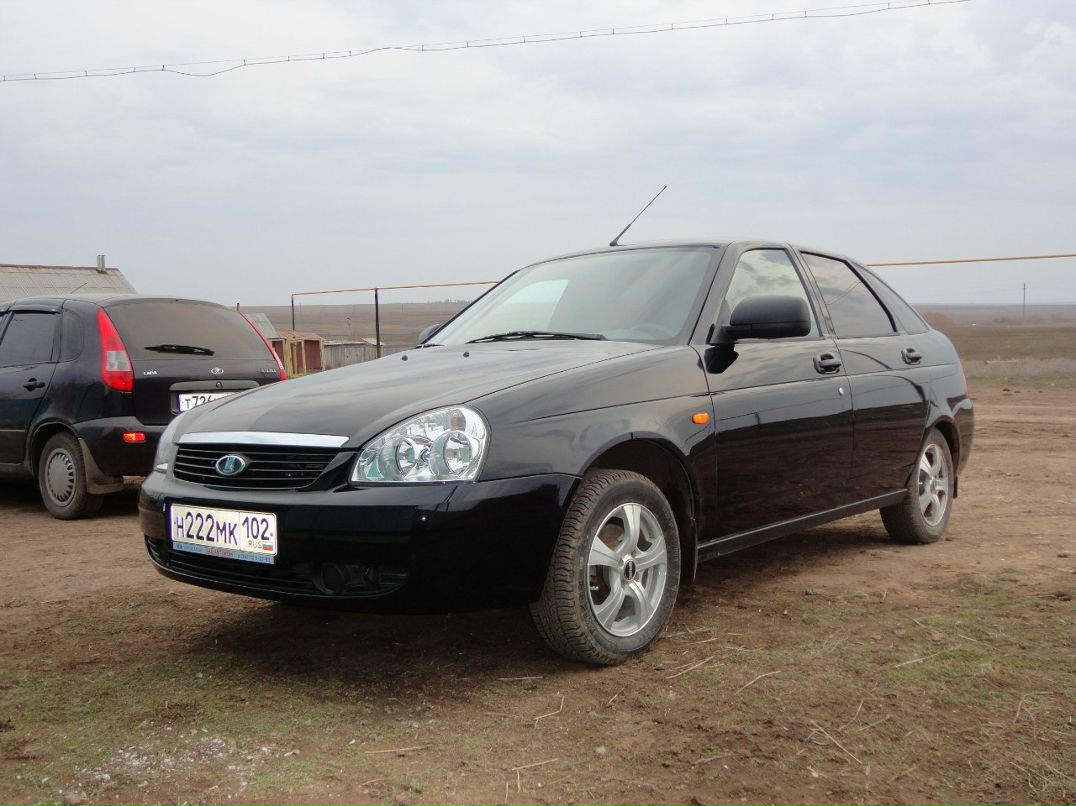 Раил Байгускаров | Целинное