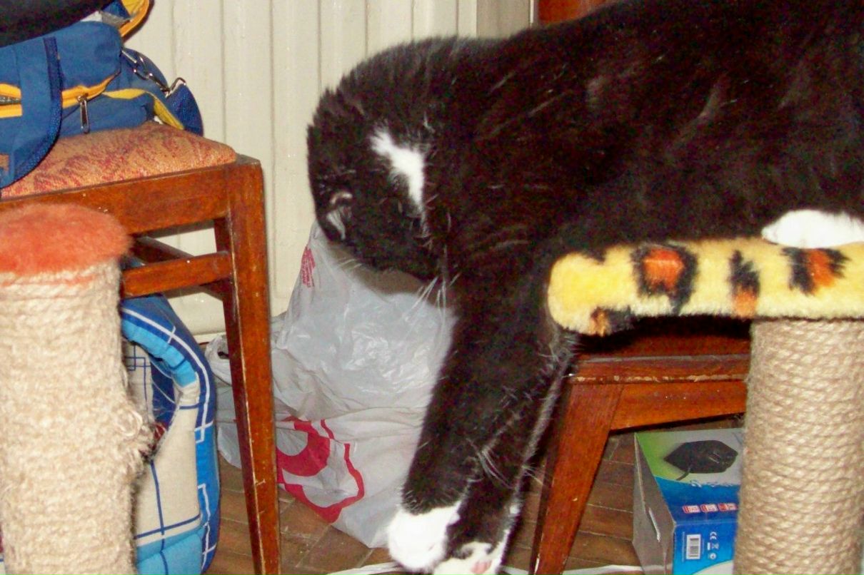 Самуил Шурухт | Санкт-Петербург