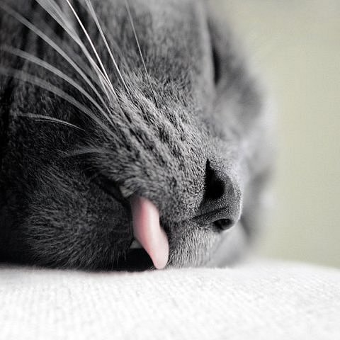 Дашулька Гурдюмова | Уфа